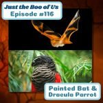 116: Painted Bat & Dracula Parrot episode logo
