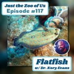 117: Flatfish w/ Dr. Kory Evans! episode logo