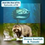 118: Ocean Sunfish & Tanuki episode logo