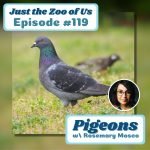 119: Pigeons w/ Rosemary Mosco! episode logo