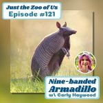 121: Nine-banded Armadillo w/ Carly Haywood! episode logo