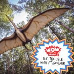 The Trouble With Pterosaurs (Encore – 6/6/22) episode logo
