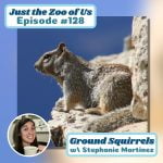 128: Ground Squirrels w/ Stephanie Martinez! episode logo