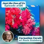126: Carnation Corals w/ Rosie Steinberg! episode logo