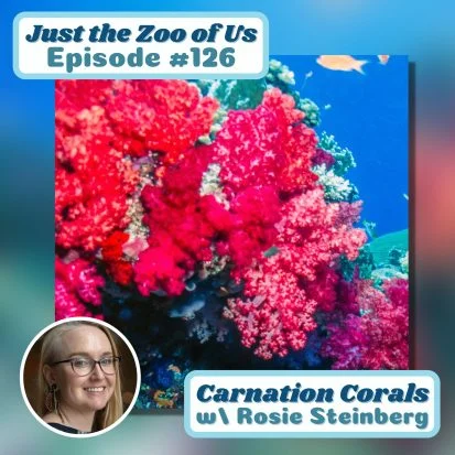 Podcast Logo