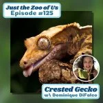 125: Crested Gecko w/ Dominique DiFalco! episode logo