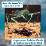 148: Japanese Spider Crab & Saharan Silver Ant episode logo
