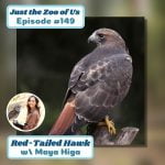 149: Red-Tailed Hawk w/ Maya Higa! episode logo