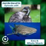 64: Emu & Whale Shark (REPLAY) episode logo