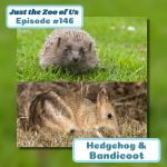 146: Hedgehog & Bandicoot episode logo