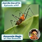147: Assassin Bugs w/ Ilan Domnich! episode logo