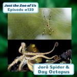139: Joro Spider & Day Octopus episode logo