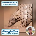 140: Pangolins w/ Jack Baker! episode logo