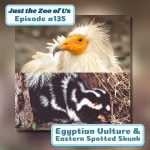 135: Egyptian Vulture & Eastern Spotted Skunk episode logo