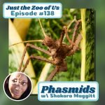 138: Phasmids w/ Shakara Maggitt! episode logo