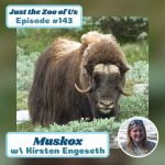 143: Muskox w/ Kirsten Engeseth! episode logo