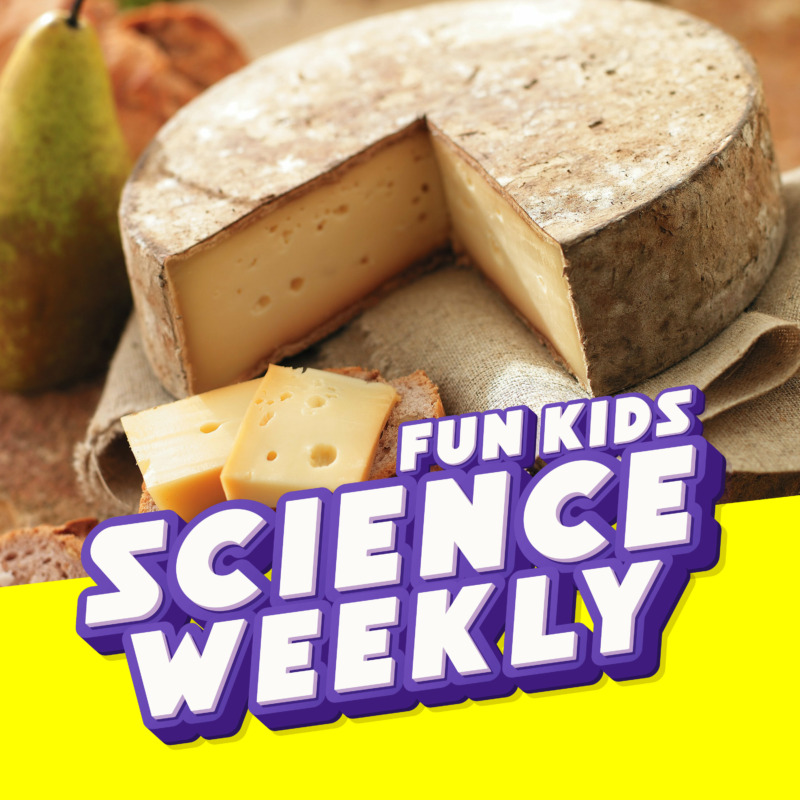 The Deadliest Cheese and why do Elephants have Tusks? from Fun Kids