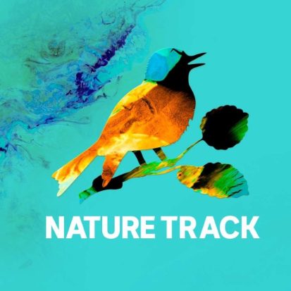Nature Track logo