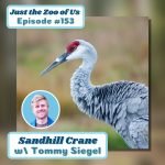 153: Sandhill Crane w/ Tommy Siegel! episode logo