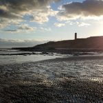 105 Boy dog beach fossils episode logo