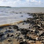 109 Here at the river’s edge episode logo