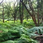 112 Suffolk Wood (part 12) – 7am to 8am episode logo