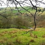 113 Spring’s here in mild valley episode logo