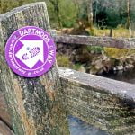 117 Dartmoor birds through white noise mist episode logo