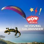 Skydiving Salamander (8/29/22) episode logo