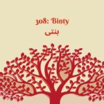 308: Binty episode logo