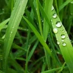 May rain after daybreak episode logo