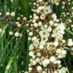 Time beside a stream in the Welsh hills episode logo