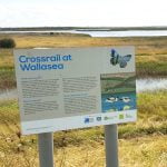 A doze in the grass on Wallasea Island (High-def sound and sleep safe) episode logo