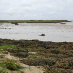 96 A blustery day begins on inland tidal water (headphones) episode logo