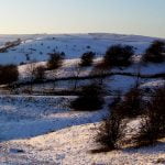 99 High in the hills amongst snow laden trees – Christmas special episode logo