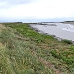 Trains, planes and estuary birds episode logo