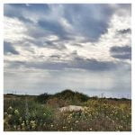 Daydream 1 (a series of short August adventures) episode logo