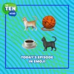 Re-air: International Cat Day episode logo