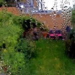 Sheltering in the back garden (from a storm) episode logo