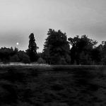 Suffolk Wood (part 7) 2am – counting the chirps of a dark bush cricket (sleep safe) episode logo