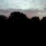 Suffolk Wood (part 4) – 11pm episode logo