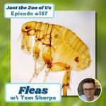 157: Fleas w/ Tom Sharpe! episode logo