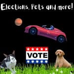 Weird voting, suffrajitsus, detect pet’s mood and make cats smile, Starman and space nugget episode logo