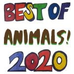 Best of Newsy Jacuzzi 2020 Animal Stories – ruff-ruff-meoooow! episode logo
