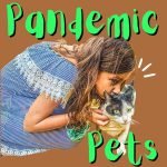 Pandemic pet craze, happiest country, sushi name-change, Rubik’s Cube shock episode logo