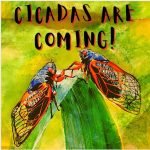 Swarming cicadas, germ warrior, cookie meltdown, book club craze, ugly fish episode logo