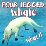 Kid News This Week: Four-legged whale, hurricane explainer, new baseball, flying cows, hearty sheep episode logo