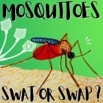 Kid News This Week: Battle against mosquitoes, beavers are back, clean cling-film, cow-poo zapper episode logo