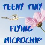 Kid News This Week: Flying microchips, Kerala exodus, California “snake-mare,” airport pig patrol episode logo