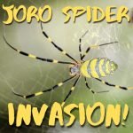 Kid News This Week: Invasion of Joro spiders, omicron arrives, plants talk, maple syrup crisis episode logo